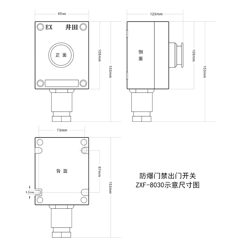 井田防爆防腐带开关按钮 ZXF8030 产品尺寸